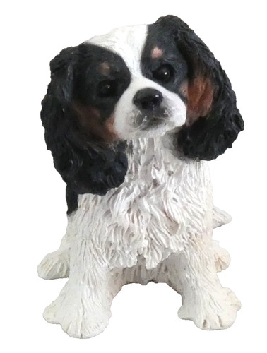 Cavalier king charles spaniel - cavalier,