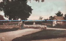 R261073 Sheep Path Fence Grass E A Schwerdtfeger RP No 102 1981