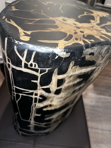 Phillips collection petrified - phillips,