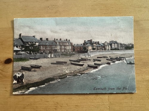 Postcard exmouth from - postcard, the