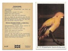 Dandy Gum - Wild Animals Cards - 1969 -  Choose From Drop Down List (T4)