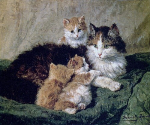 Contentment mother cat - mother, with