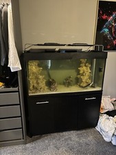 aqua one aquarium,fish tank,fish,food 