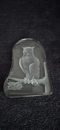 Glass owl branch - on,