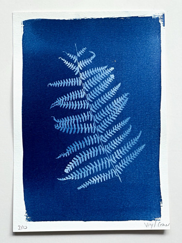 Fern botanical cyanotype print - fern,