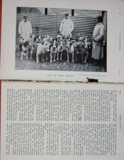 Original Old Antique Print 1904 Otter Hunting Hounds Sport Photograph Baily'S