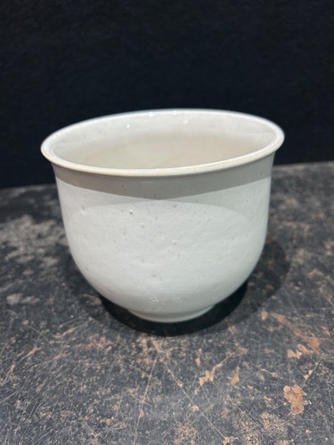 Vintage white speckled - vintage, plant
