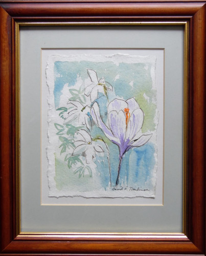 Snowdrops crocus flowers - +,