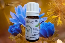 Blue Anemone Essential Oil /