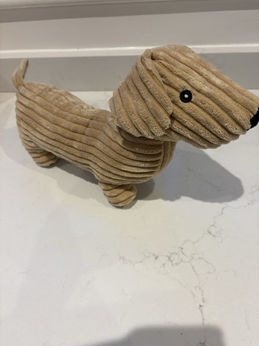 Beige dachshund dog - dachshund,