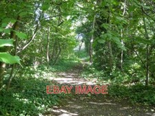 PHOTO  PATH ALONG OLD RAILWAY
