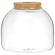  Small Bottle Terrarium Large