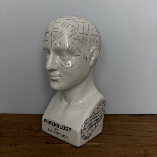 Ceramic phrenology head bust - ceramic,