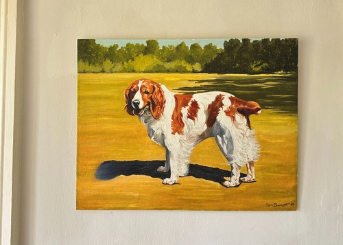 Welsh spaniel oil painting - welsh,