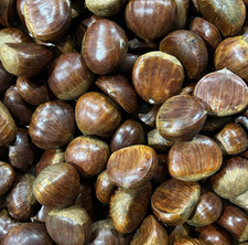 Fresh French Chestnuts 1.5kg