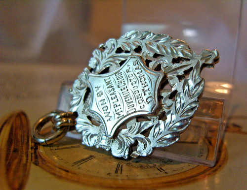 Pocket watch chain fob - chain,