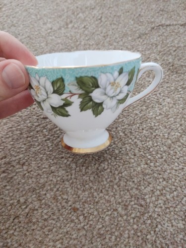 Vintage gladstone bone china - vintage,