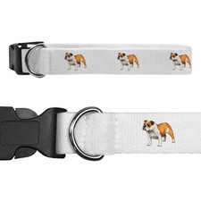 Large 'English Bulldog' Dog Collar (PR00012782)