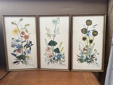 Vintage Flower Botanical DAC NY  Pictures Set Of 3 Signed C L Britzke Neil.  
