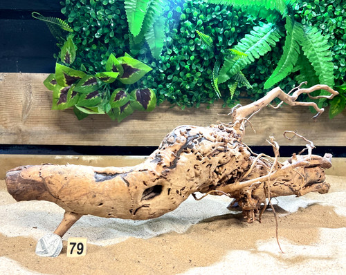 Twisted vine branch individual - twisted,