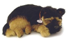 Precious Petzzz - Breathing