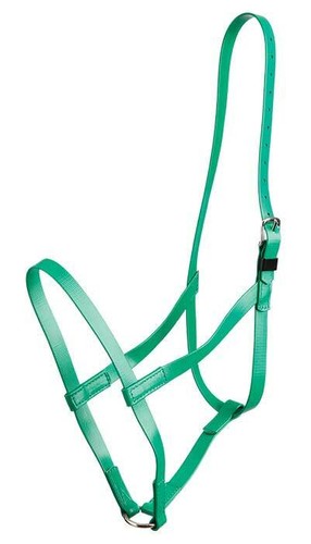 Zilco driving under halter - halter,
