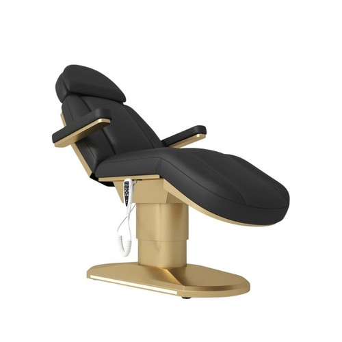 Aurelia pro electric - aurelia,
