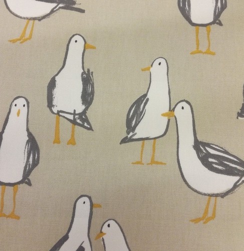Clarke and laridae - clarke,