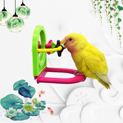 Removable bird cage mirror - removable,