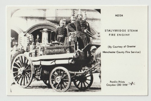 Postcard stalybridge horse - postcard,