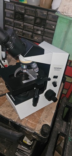 Olympus ch30 binocular - ch30,