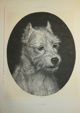 Godefroy JADIN (1805-1882)