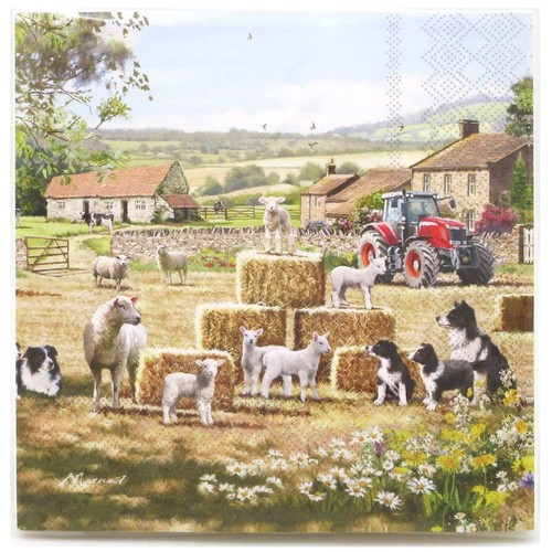 Farm collie sheep - collie, tractor