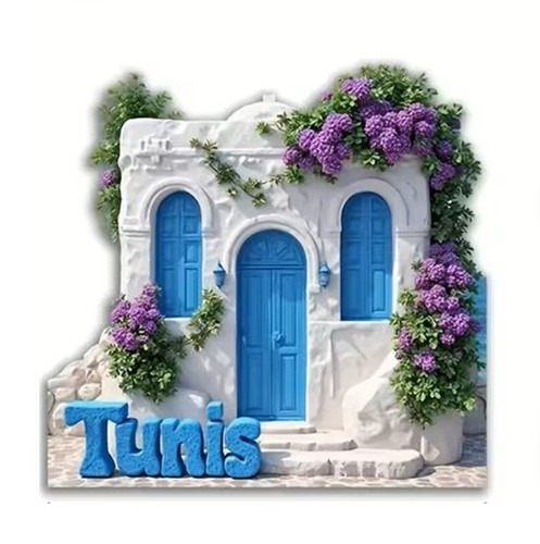 Fridge magnet tunisia themed - magnet,