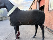 Horse Fleece Rug with Collar Luxury Details Removable Chest Closure Clearance