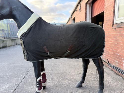 Horse fleece rug - fleece, collar