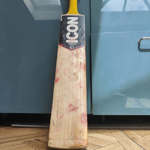 Custom cricket bat 2 8 - custom,