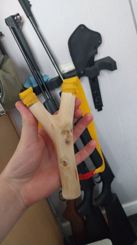 Natural catapult slingshot - catapult,
