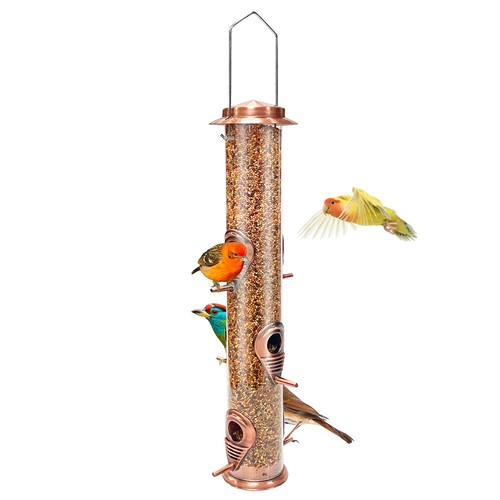 Metal bird feeder - bird,