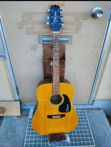 Takamine 200 series - takamine, na