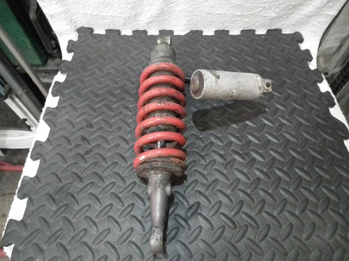 Genuine triumph daytona - triumph,