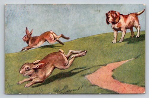 Vintage dog chasing rabbits - dog,