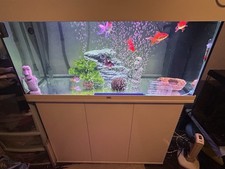 Juwel Lido 200 LED Aquarium