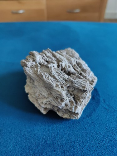 Fossilized drift wood - fossilized,