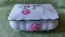 Vintage Mottisfont Rose Rosina