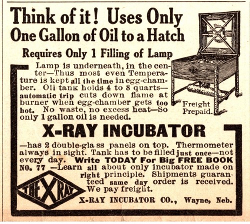 Original 1912 ray - 1912, incubator