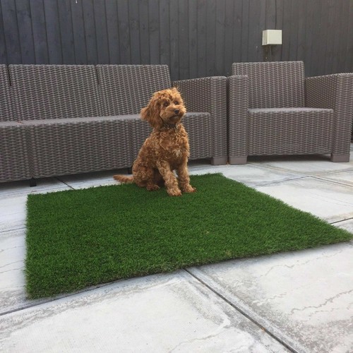 Luxury artificial grass dog - luxury,
