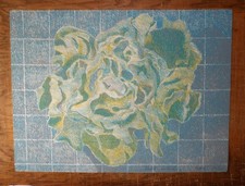 Laura Grosch "Boston Lettuce"
