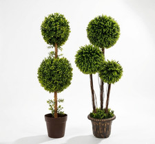 Artificial plants pot - artificial, boxwood