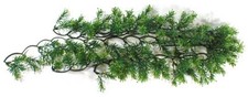 Zoo Med Reptile Natural Bush Plants Vivarium Decoration Variety